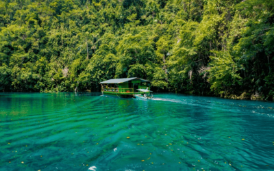 Top 10 Must-Visit Attractions in Bohol: A Paradise in the Philippines